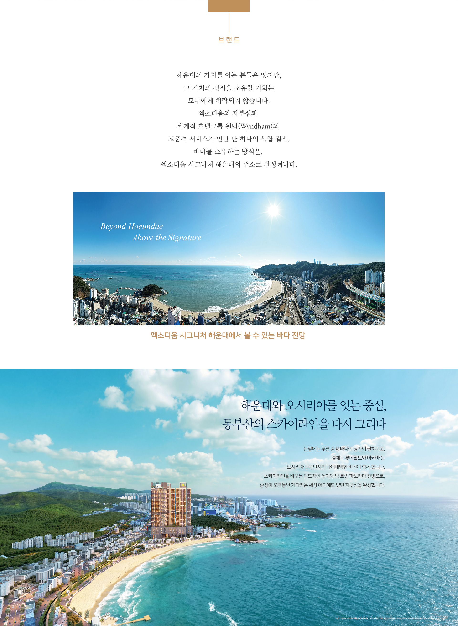 갤러리 이미지 2