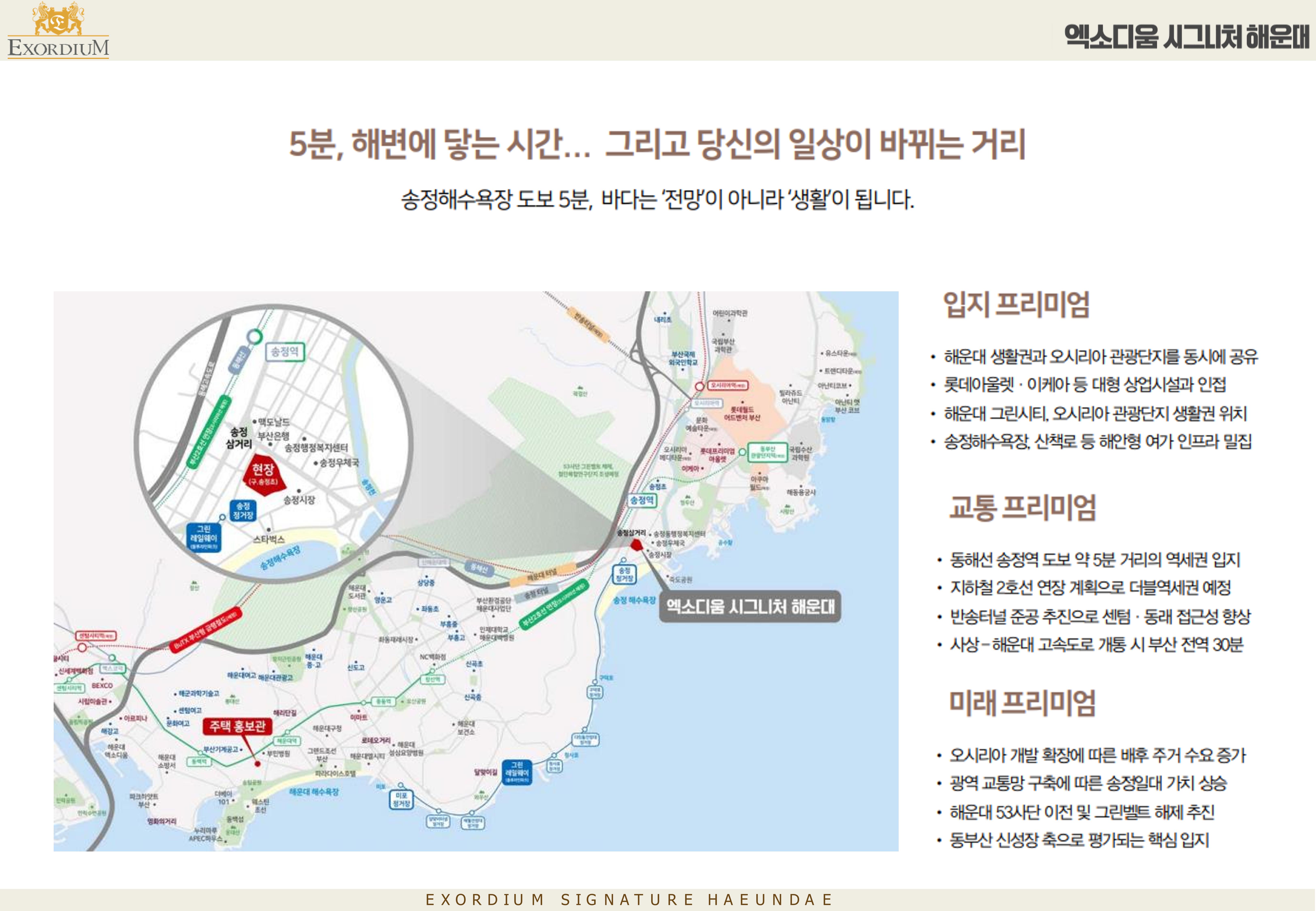 갤러리 이미지 11