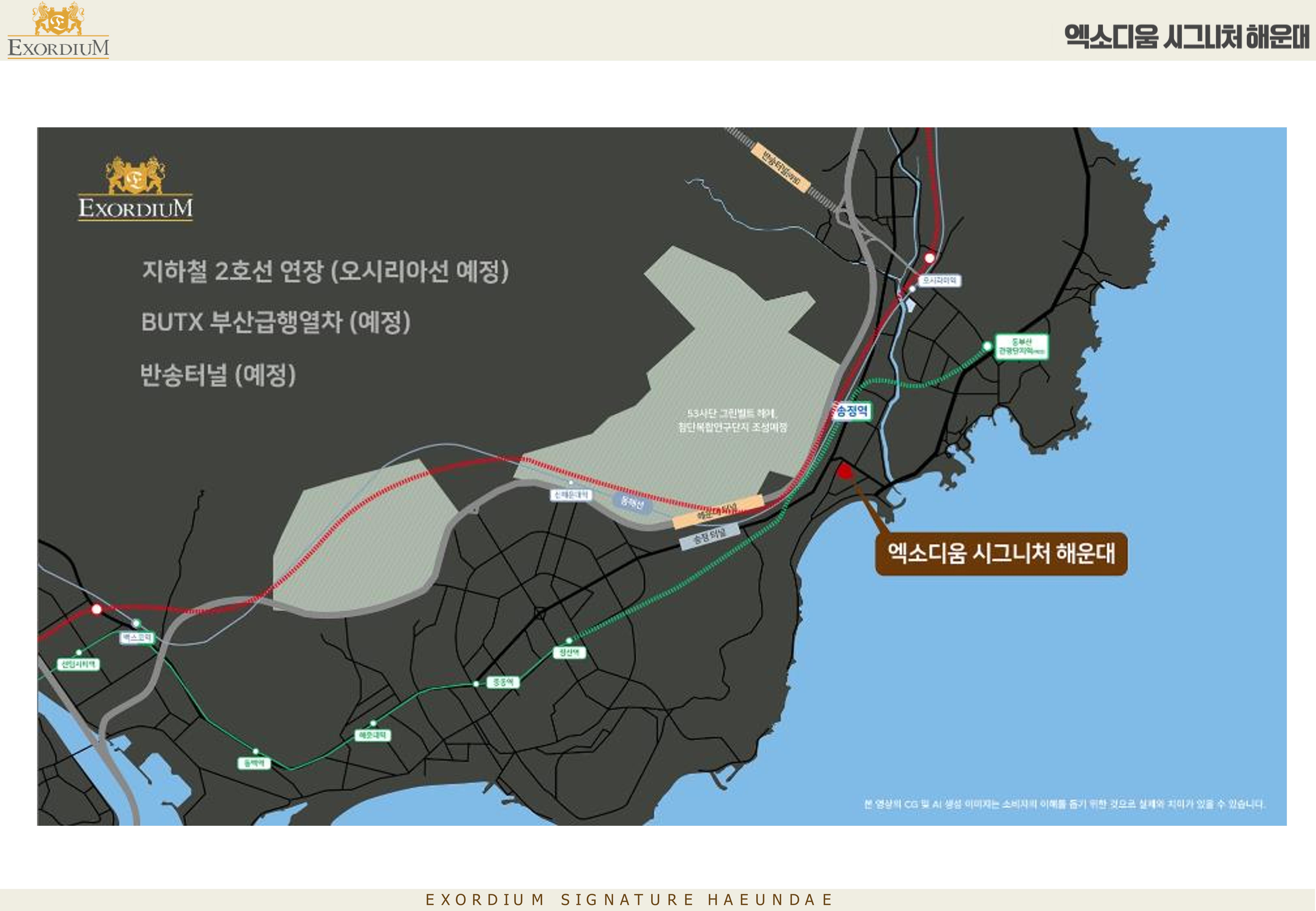 갤러리 이미지 12